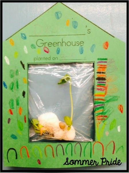 Image for event: Bean Growing Kits