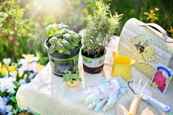 Image for event: Container Gardening Fundamentals
