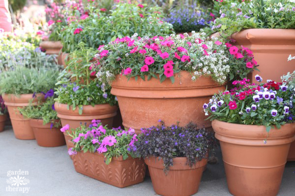 Image for event: Spring Into Spring: Container Gardening and Trees