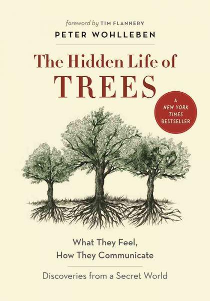 Image for event: Books Sandwiched In: &quot;The Hidden Life of Trees&quot;
