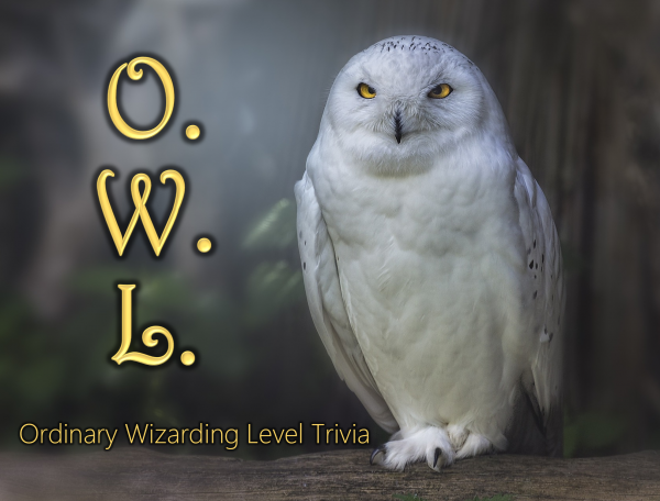 Image for event: O.W.L. Trivia Contest: Ordinary Wizarding Level