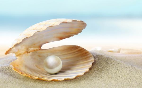 Image for event: Jewels of the Sea: Pearls